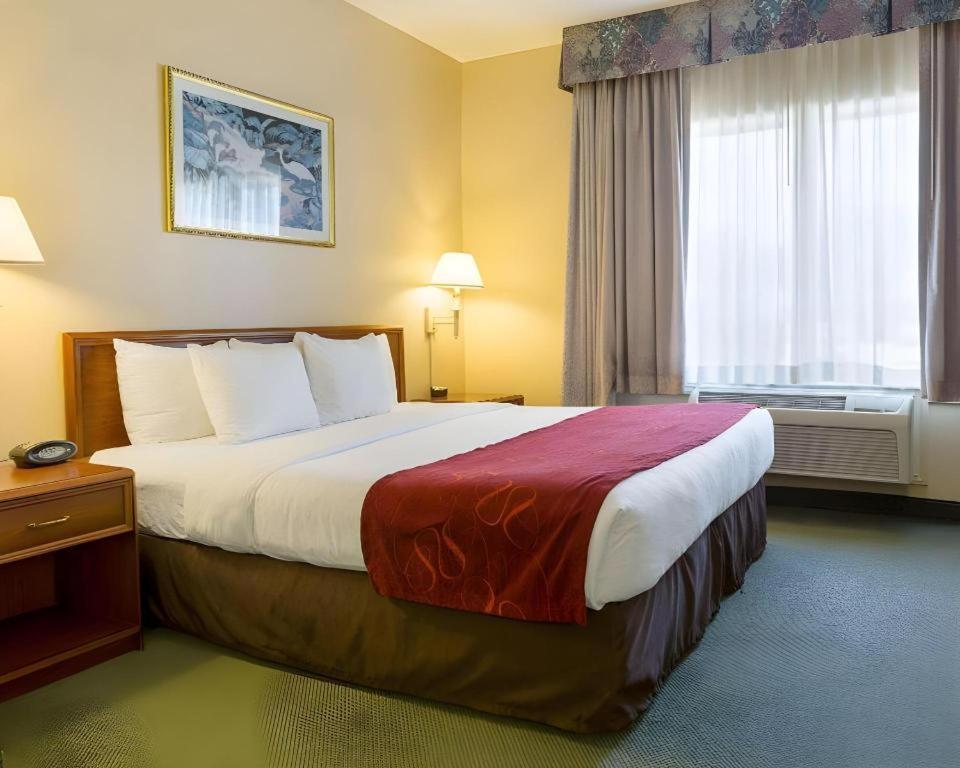 Comfort Suites La Porte Ngoại thất bức ảnh